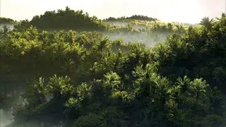 Tropical Environment Scene with EnvIt, Maya and SpeedTree - BREAKDOWN