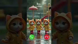 Bro is calling #cat #ringtone #brother #friends #rain