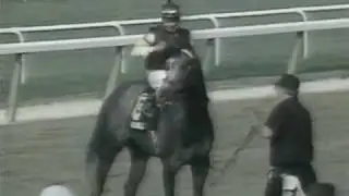 1994 Metropolitan Handicap - Holy Bull