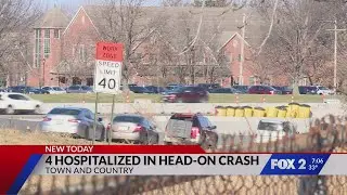 Four hospitalized in head-on crash