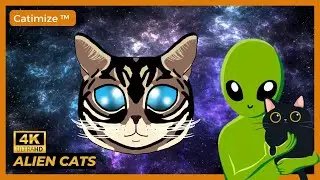 Alien Cats! - Funny Cat Videos #29 | Cat Memes Compilation of 2022