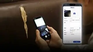 InsightScanX 解説動画②「劣化・不具合箇所をAIが自動検出・分類」