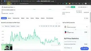 SLP Price Update Today October 24 (SLP Will Bounce Back Soon)