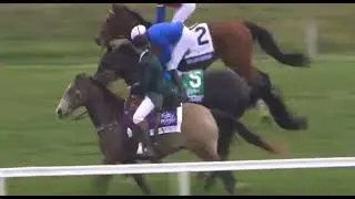 2022 11 5 :R10 /James Doyle:Rebels Romance/Sire/Dubawi/T. C.Appleby@ Keeneland/Loginess Breeders Cup