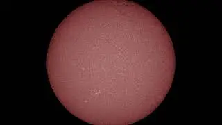 SDO | Data Daily Movies 230820