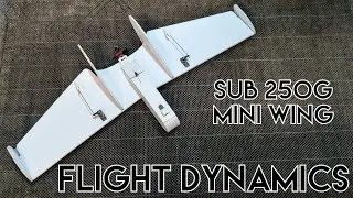 Forward Swept Mini Wing Flight Dynamics