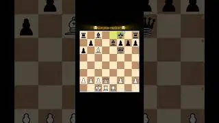 l incredible chess move.