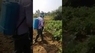 Farmer Meet and Field Visit #HPM #Orissa