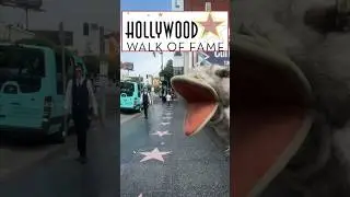 Field Trip to HOLLYWOOD Walk of FAME ⭐️  #kidtimestorytime