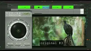 Bird Call ReSynthesis in Synplant 2