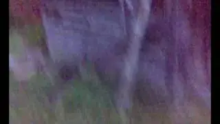 21022009015