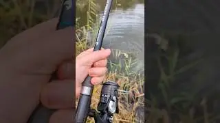 Welche Ruten zum Method Feeder Angeln?