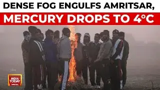 Amritsar Shivers at 4 Degrees as Dense Fog Hits Punjab | Cold Wave Hits Punjab