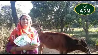 A3M Animal Healthcare supplements. +91-7973529210.  