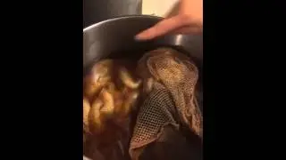 Dreamy Goat Design Studio -- Dyeing with Osage Orange - Day 2