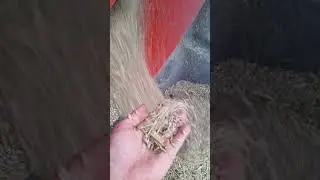 Snowco Grain cleaner