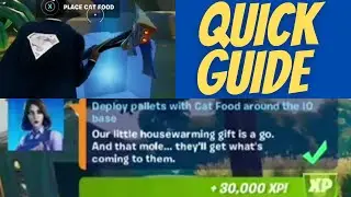 Deploy pallets with Cat Food around the IO base Locations Legendary Quest Week 13 Fortnite Season 7
