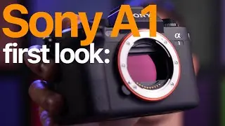 First Look: Sony A1