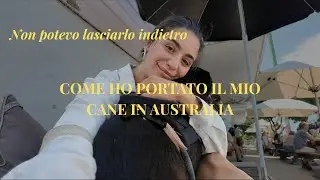 Come ho portato il mio cane in Australia 🇦🇺 | La mia esperienza reale