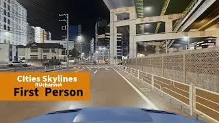 Cities Skylines : First Person Night city Drive (Mingda ep41)