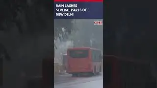 New Delhi: Several Parts Of The National Capital Receive Rain During Winter&nbsp;|&nbsp;Watch&nbsp;#shorts