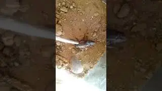 kaka pir me ha