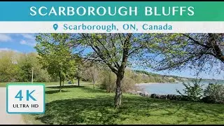 4K Walk on Scarborough Bluffs Trail | Walk Around the Marina, Bluffer's Park and Bluffer's Beach
