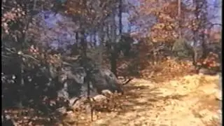 Ahrens Fox & Chilson Video - Fire In The Woods