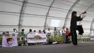 Tai Chi Internal Short Weapon, 35 - 54