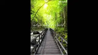 Tahajud Kya hai#foryou #islam #islamic #islamicstatus #youtube #youtuber #family #islamicvideo #love