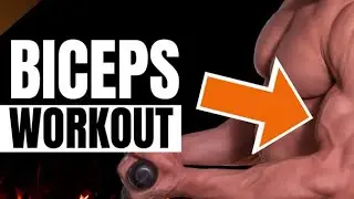 The Best Biceps Workout (Best Biceps exercises ) Get Best Biceps Now