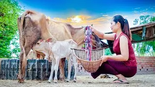 Have you ever seem and eat that food before? Cow Placenta Food