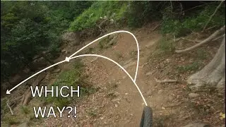 ZOOLOOCAB / ZOMBIE | Zoonotica - Looters - Cabin Fever | Woonona DH Trail