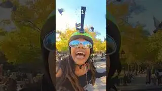 Would YOU do this NYC PIGEON challenge?😦🐦