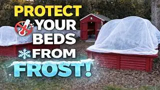 Before the Next Frost : The Best Ways to Protect Your Garden