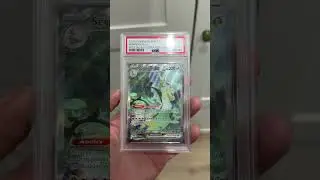Newest card to our collection! Black Bolt Serperior EX PSA 10! #psa10 #pokemon #blackbolt #youtube