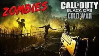 you will laugh! cod cold war zombies w/Ethan Wyatt, and coyo