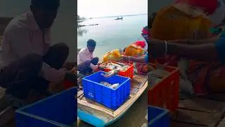 I saw something like this in the net 😱 #fishing #viral #trending