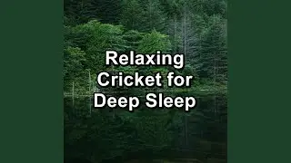 Nature Cicada Sound