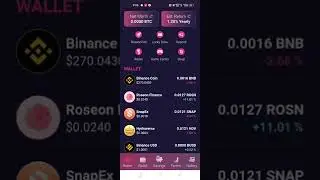 Roseon wallet payment proof ,how to swap and depsoit your wallet . airdrop steel ongoing