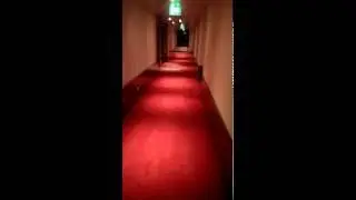 Airport Hotel Basel 2016