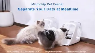ePawden Microchip Pet Feeder - Function Preview