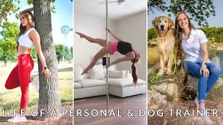 *VLOG* A week in my life, pet sitter drama!
