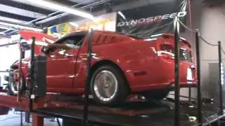 Mid South Mustang Club Dyno Day @ Dynospeed
