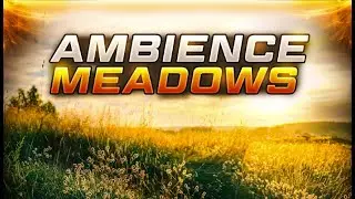 D&D Ambient Game Music - 5 Hour Special - Meadows - Fall Asleep in a Beautiful Meadow