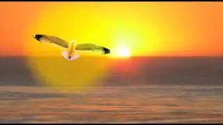 Echoes From The Sun ~ Official Book Trailer 2013 ~ Ari Marsh