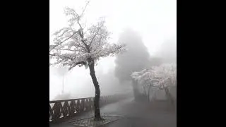 lovemusic ambient type beat 