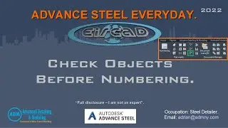 ADVANCE STEEL: Check Objects Before Numbering