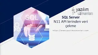 Request Data from N11 APIs with SQL Server
