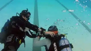 PADI Instructor Development Course - Confined water training + More